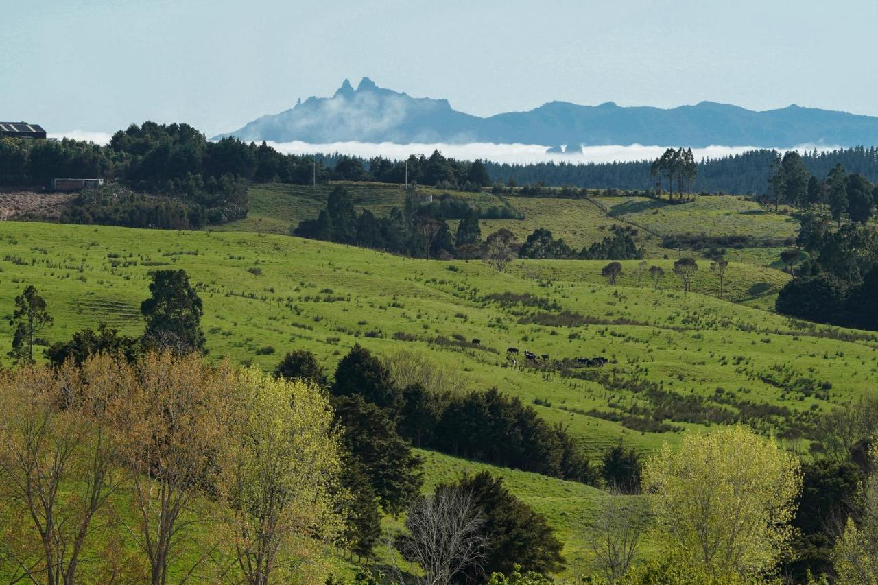 Kauri Glen Bnb Te Arai Exterior foto